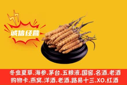 哈尔滨延寿回收冬虫夏草